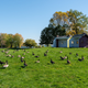 Illustration for article titled 2019-10-11 Visiting Upper Canada Village and Cryslers Farm Battlefield